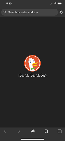 duck duck go security